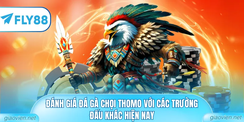 Đá Gà Chọi Thomo Đẳng Cấp Từ Các Bồ Gà Danh Tiếng Nhất 3 Đánh giá đá gà chọi Thomo với các trường đấu khác hiện nay