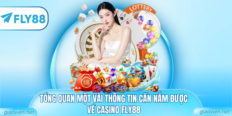 Casino FLY88 - Sòng Bài Trực Tuyến Đẳng Cấp Quốc Tế 1 Tổng quan một vài thông tin cần nắm được về casino FLY88